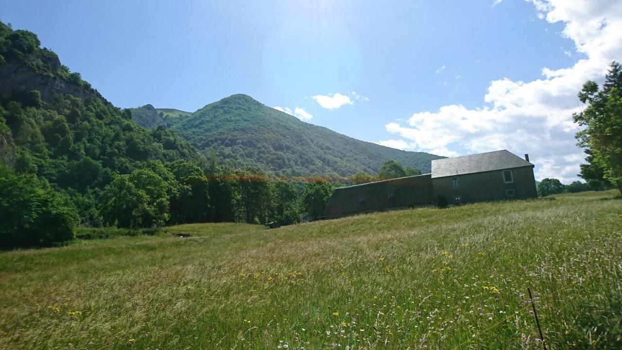 Joli Studio Avec Balcon Donnant Sur La Montagne 생트 마리 드 캄팡 외부 사진